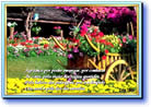 slides power point de auto estima e agradecimentos