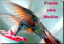 Frases para Meditar - Momento de Reflexão