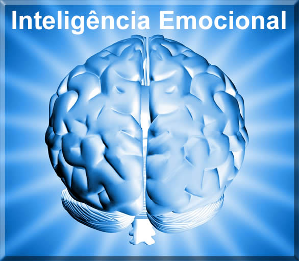 o que é inteligencia emocional