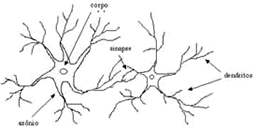 PNL árvore neural