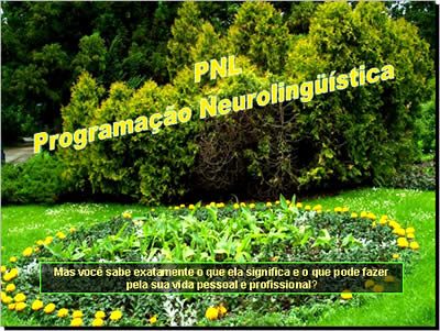 PNL - Programação Neurolíngüistica - Mensagem em slides pps