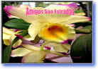 power point e slides pps para comemorar o dia da amizade, amigos são estradas