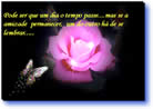 qual o preço de uma amizade, pps sobre o dia dos amigos