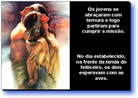 slides power point com som sobre amor