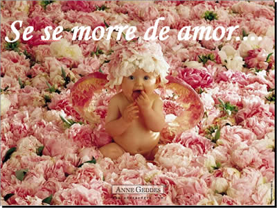 mensagem para namorados, se eu morrer de amor