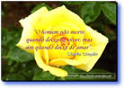 mensagens de amor e paixão em powerpoint
