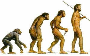 Evolução do Homem