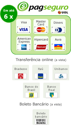 Pagseguro UOL seguran&ccedil;a para sua compra online