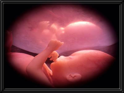 mensagem de um bebe para o dia dos pais
