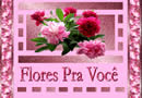 Todas as flores do mundo são para ti, mamãe querida, nesse teu dia, receba rosas e dálias