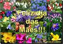 Mensagem bem humorada para o dia das mães - Humor e carinho para a mamãe