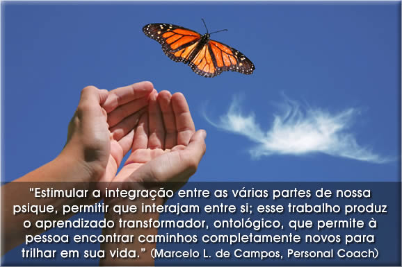 Frases de Marcelo Leandro de Campos personal coaching e palestrante