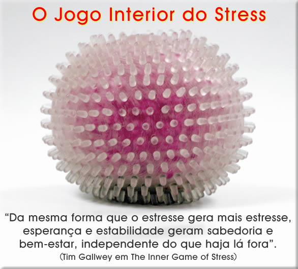 livro o jogo interior do stress de Tim Gallwey