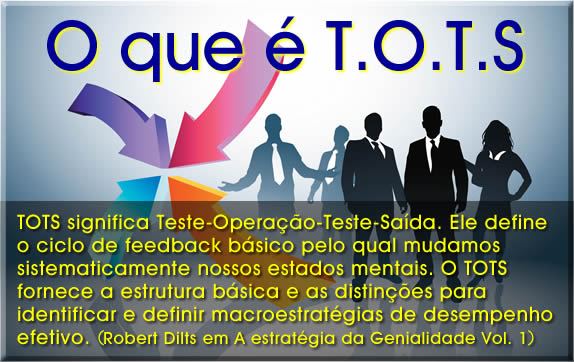 o que é modelo TOTS Teste Operação Teste Saída