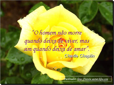 mensagem de amor em pps eu te amo