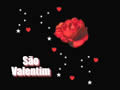 Vídeo homenagem para o dia de São Valentim - Imagens de carinho