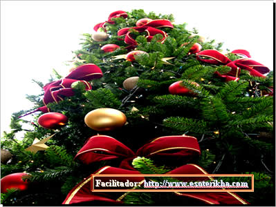 Mensagem de Natal de Otimismo e Reflexão | Mensagem a Árvore de Natal
