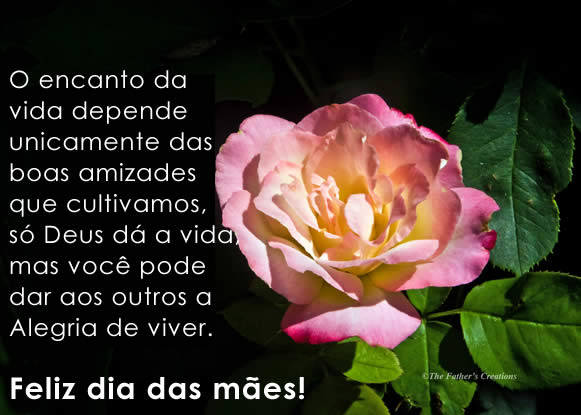 pensamentos dia das mães