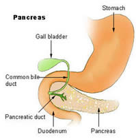 Saúde e bem-estar do Pancreas